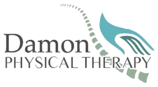 Damon Physical Therapy