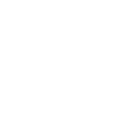 Black Stallion