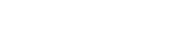 Fmi
