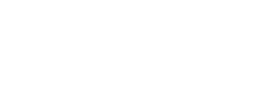 Georges Salvage